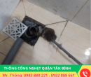 Thông Cống Nghẹt Quận Tân Bình