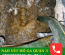 Nạo Vét Hố Ga Quận 3