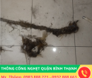 Thông Cống Nghẹt Quận Bình Thạnh