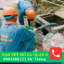 Nạo Vét Hố Ga Quận 8 